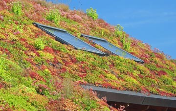 Allerton Bywater living roof systems